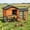 Black with Orange, variant on Outdoor 2 Story Quail Cage for 6 Quail with Weatherproof Brooder Box, Indoor Hutch for Guinea pig with Tray, Orange