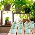 thumbnail image 3 of Succulents Plant Pots under $5! CQCYD 10 Pcs Succulents Flower Pots, Octagon Plastic Planters for Home Decor, Thickened Seedling Nursery Pots for Indoor Plants, Gardening Supplies for Windowsill, 3 of 5