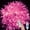 Pink, variant on Christmas Lights,3M 20LED Fairy Lights Indoor Fairy Lights Indoor Outdoor Rope Fairy String Lights USB Powered with Remote