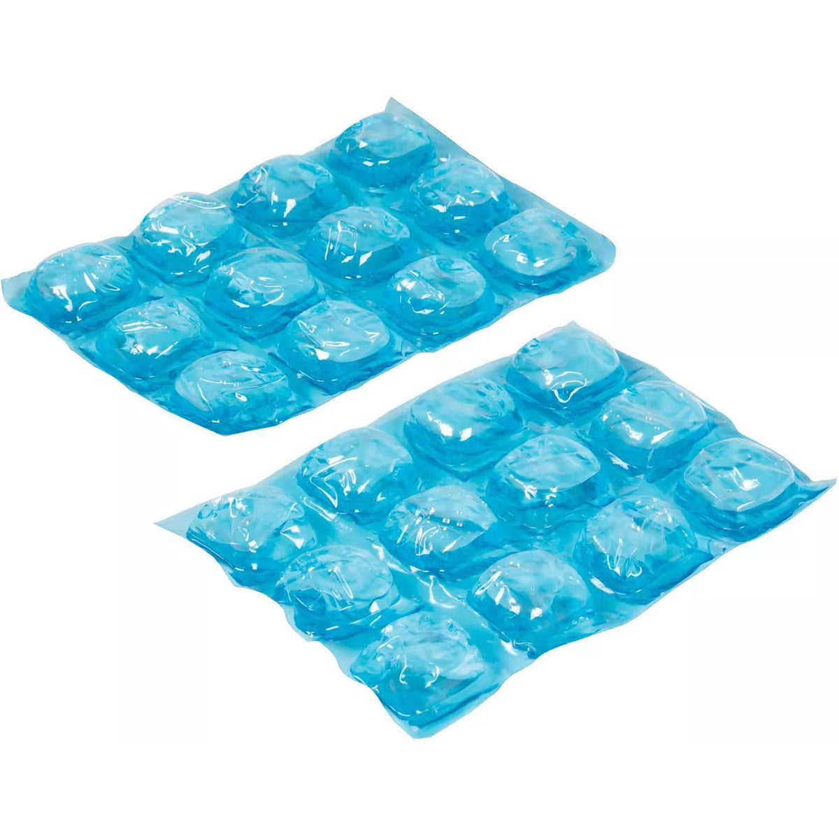  Igloo, Small 2 Pack Ice Block : Sports & Outdoors