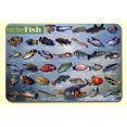 thumbnail image 1 of Painless Learning FWF-1 Set de 4 Sets de Table Poisson d'Eau Douce, 1 of 1
