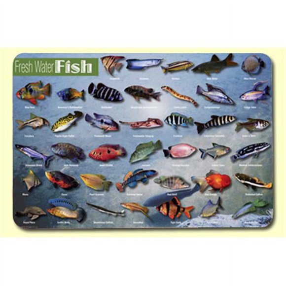 Painless Learning FWF-1 Freshwater Fish Placemat - Pack of 4
