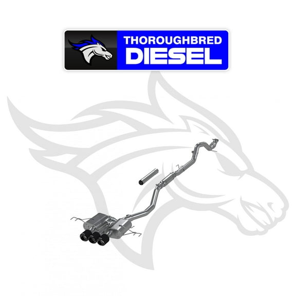 MBRP 23-24 Honda Civic Type R 2.0L T304 SS 3in Cat-Back Exhaust Triple Center Outlet w/ Carbon Tips