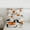 Gray Orange White 365, variant on Manfei Halloween Ghost Pumpkin Queen Comforter Set,Spider Web Bats Bedding Sets,Orange White Black Bedding Comforter Set For Teens,Ultra Soft Home Decor Reversible,3-Piece