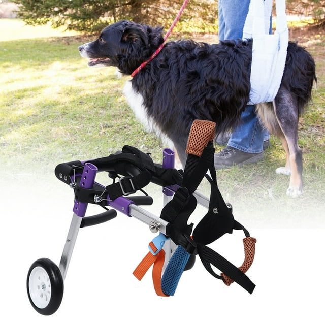 Fauteuil Roulant pour Chien Handicapé, Alliage d'Aluminium Violet Double Animal de Compagnie Voiture Assistée Fauteuil Roulant Finition de Luxe