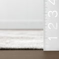 thumbnail image 3 of nuLOOM Alexia Traditional Machine Washable Area Rug, 8' x 10', Grey, 3 of 8