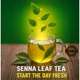 thumbnail image 3 of Senna Leaf Tea – 50 Tea Bags – Herbal Tea – Caffeine Free – Resealable Pouch - Zokiva, 3 of 6