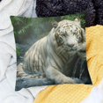 thumbnail image 2 of BANET Throw Pillow Cover Animal Wild Decor Lumbar Pillow Case Cushion for Sofa Couch Bed Standard Queen 24x24in, 2 of 5