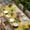 Yellow Brown, variant on Sunflowers Table Cloths for 8 Foot Rectangle Tables, Spring Botanical Watercolor Blossom Flowers Patio Waterproof Elastic Fitted Tablecloths, Washable Rectangular Table Cover for Camping