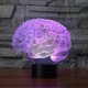 thumbnail image 3 of Halloween Decor 3D Human Brain -Cerebellum Model Table Lamp 7 Color Changing Led Night Light Gift, 3 of 5