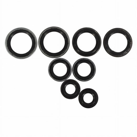 Genuine Motorcraft KIT (P)