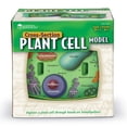 thumbnail image 2 of Plant Cell Model Learning Resources Transversal Section Foam 7+, 2 of 4