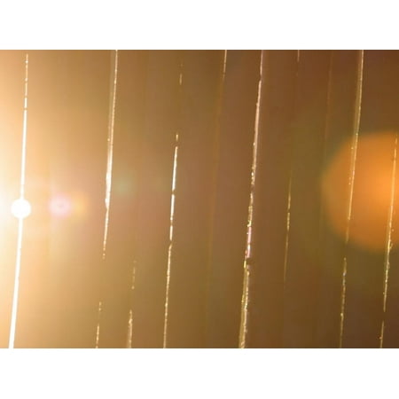 Natural Lines on Fences with Lens Flare Print Wall Art