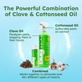 thumbnail image 5 of BugMD Pest Control Essential Oil Concentrate 4oz + 32oz Spray Bottle, 5 of 6