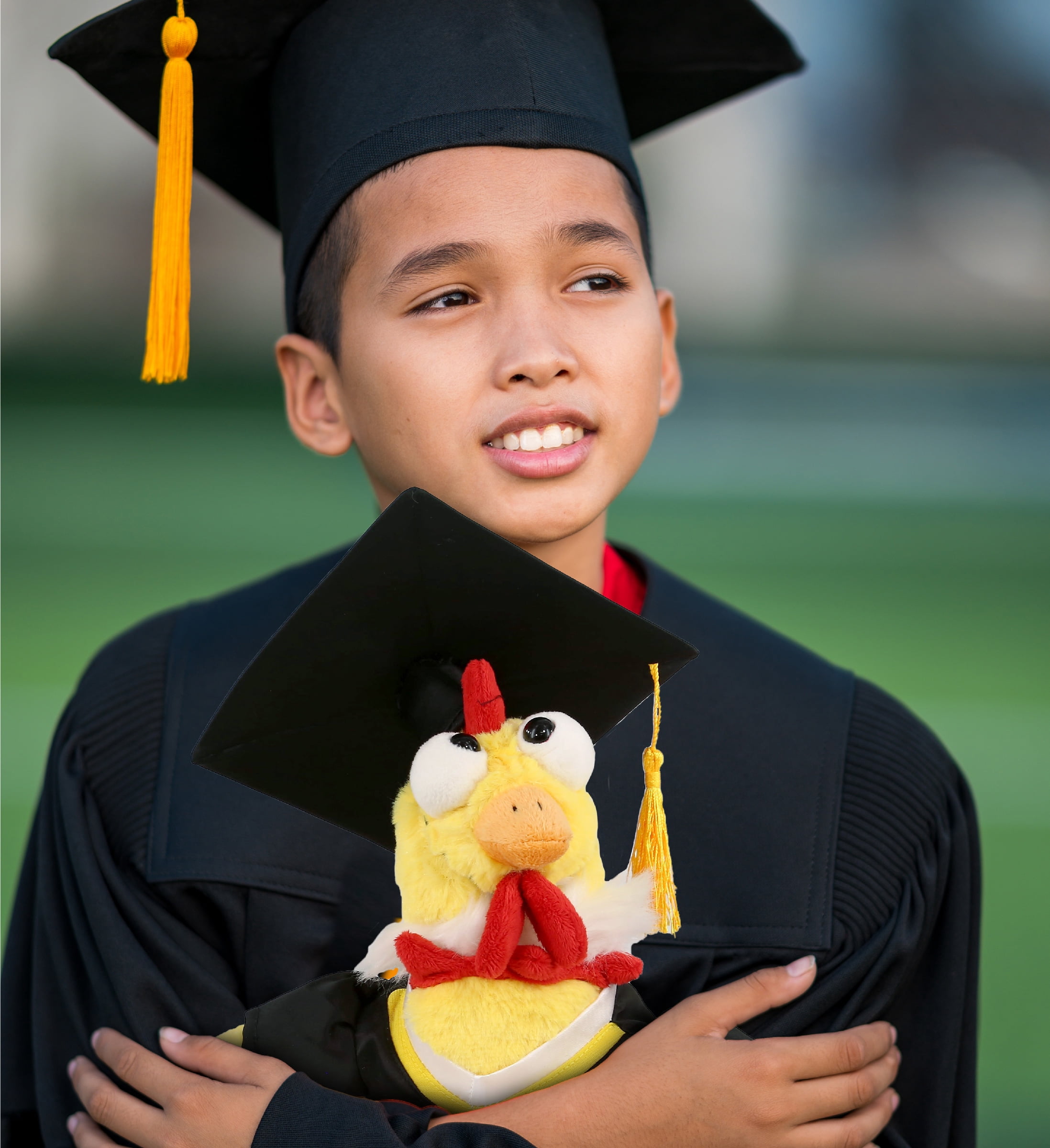 DolliBu Yellow Rooster Graduation Plush Toy - Super Soft Rooster Graduation Stuffed Animal Dress Up with Gown and Cap with Tassel Outfit - Reward Celebration Grad Gift - 10.5 Inch