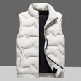 thumbnail image 2 of Dpytoraw Autumn And Winter New Down Men Stand Collar Vest Plus Fat And Thick Casual Warm Vest, 2 of 5