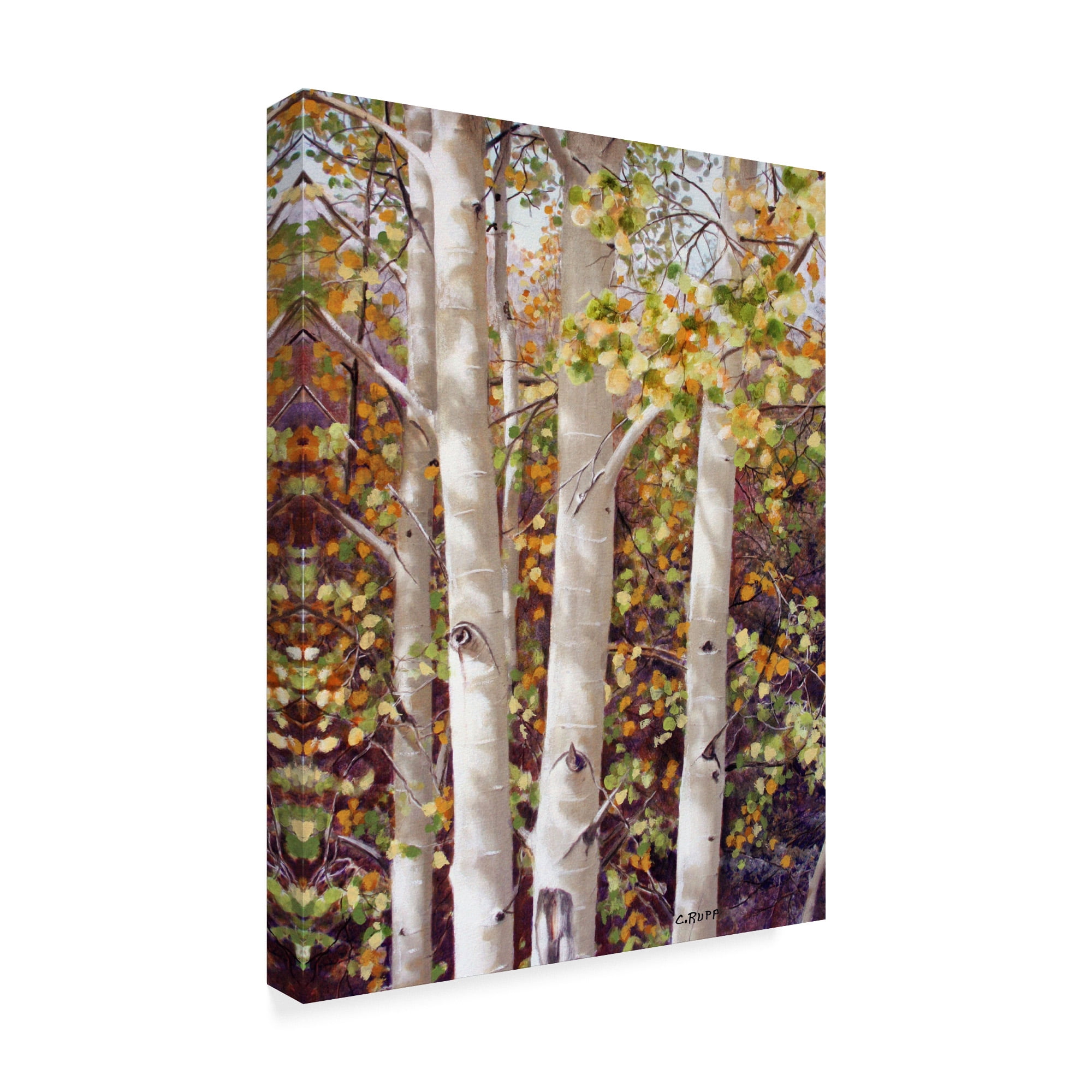 Trademark Fine Art 'Aspen Quartet' Canvas Art by Carol J Rupp