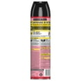 thumbnail image 6 of 2 Pack - Raid Ant & Roach Spray Outdoor Fresh 17.50 oz, 6 of 6