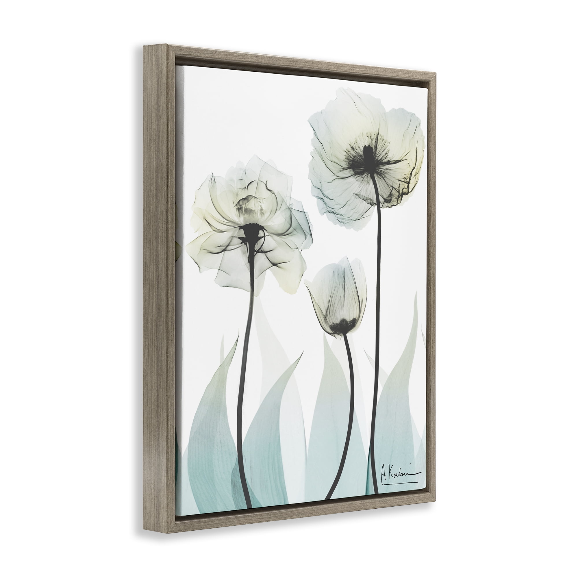 Stupell Industries Luxury Of Creation Brown Framed Floater Canvas Wall Art, design by Albert Koetsier
