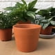 thumbnail image 5 of Advancent Jardinera portátil de cerámica para espacios pequeños, maceta ligera y ecológica y para verduras Jardín y Patio, 5 of 6