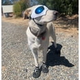 thumbnail image 2 of Gafas para perros, gafas para mascotas, gafas impermeables, resistentes al viento y con protección UV para perros medianos y grandes - Blancas, 2 of 5