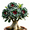 E, variant on Desert Rose, Shade Plant for Gardens-Easy Grow-Low Maintenance-Ideal for Beds Borders, Plant Pots & Planters