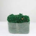 thumbnail image 3 of Artificial Dried Moss Decor Flower Hanging Baskets Plant - Green, 3 of 9