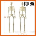 thumbnail image 7 of 74" Franken Skeleton, Lifesize Halloween Posable Skeleton for Outside, 7 of 7