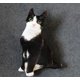 thumbnail image 5 of 50cm Lindo Gato Realista 3D Juguetes de Peluche Muñeco de Peluche Suave Muñeco de Simulación Almohada para Dormir Sofá Cojín Muñeco de Dibujos Animados Decoración para el Hogar Regalo, 5 of 5