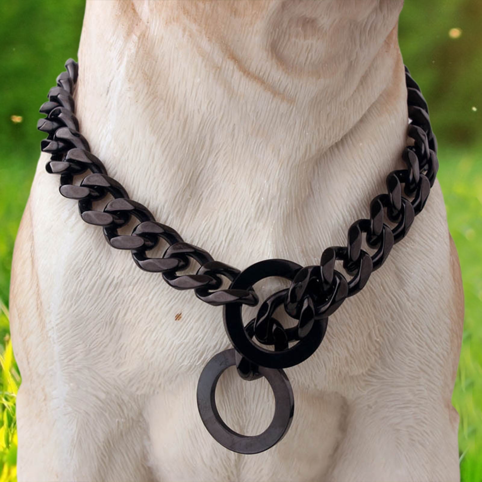 SPRING PARK Dog Chain Collar Choke Collar Non-scalable Anti-Chew Stainless Steel Metal Collars Choker Chain for Small Medium Large Dogs