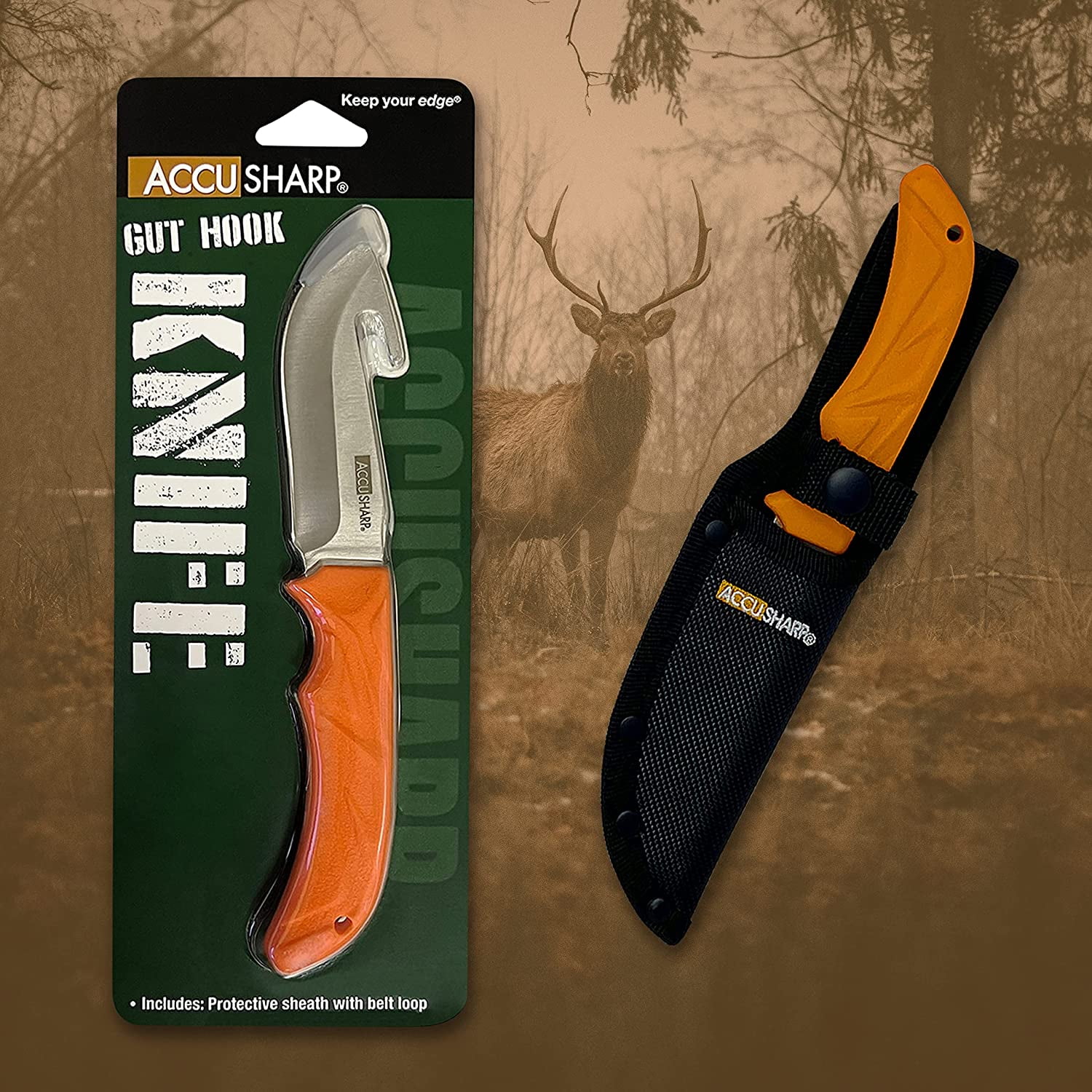 AccuSharp Hook Knife with Stainless steel blade