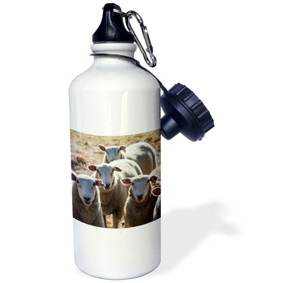 3dRose, Australia, Victoria, Yarra Valley, sheep farm, Flip Straw 21oz Water Bottle