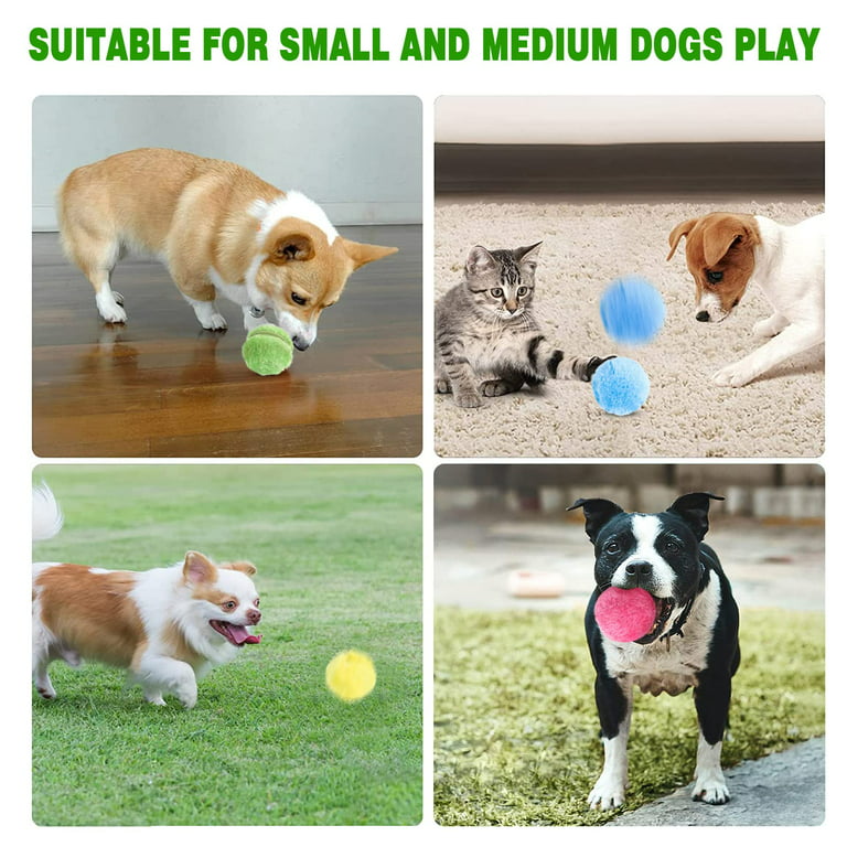 Active Rolling Ball for Dogs, Poof Play Ball for Dogs, Magic Automatic  Rolling Ball for Dogs, Interactive Funny Toys Roller Ball for Dog Cat (1  Set)