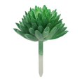 thumbnail image 4 of Simulación de plantas suculentas suministros de diseño creativos de bricolaje accesorios para arreglos florales fabricantes de flores de simulación plantas de simulación A2 flocado verde, 4 of 5