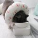 thumbnail image 3 of Cat Cone Adjustable Recovery Collar Soft After Surgery for Cats Wound Healing Protective E Collar Elizabethan Collars -, 3 of 4