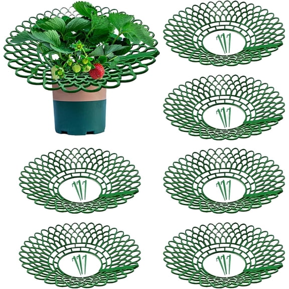 6 Pack Strawberry Plant Support - Strawberry Growing Racks with 3 Sturdy Legs - Strawberry Growing Frame Keep Berries Clean