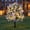 White, variant on Miwamany Glowing Eucalyptus Violet Ground Plug Artificial Flowers, 28-Head Lighted LED Faux Plant Bush, Solar Powered Stake Light for Outdoor Yard Garden Pathway Patio Party Home Decor (23.62in)