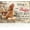 Coop Outdoor, variant on Funny Chicken Metal Sign Relax We're All Crazy Sarcastic Home Office Decor Farmhouse Chicken Decoration Funny Sign for House 12x8inch
