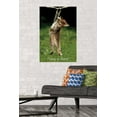 thumbnail image 3 of Famous Kitten Hang In There Poster Wall Poster, 22.375" x 34", 3 of 4