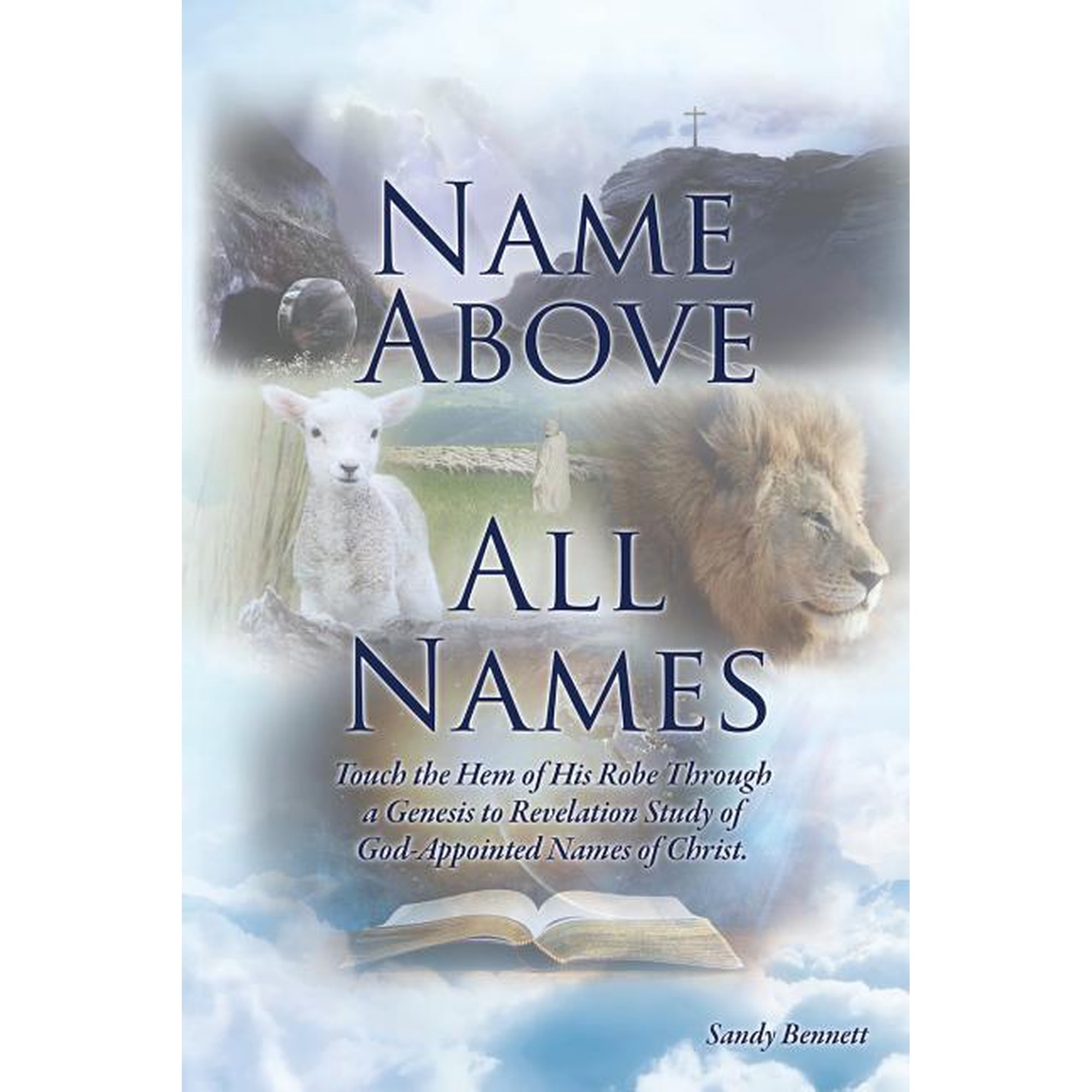 Name Above All Names (Paperback)