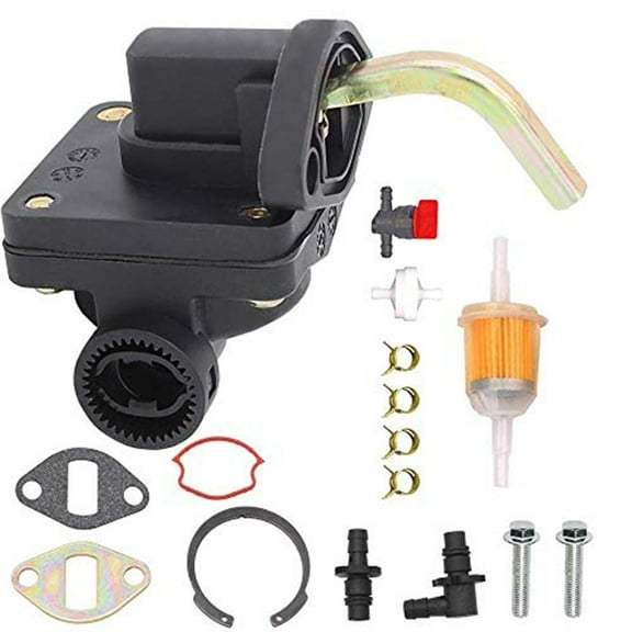 Fuel Pump For 1255902-S 1255901-S 1239303 1255901 12 559 02-S 12 559 01-S GT225