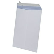 Ampad Catalog Security Envelope, White, 25pk