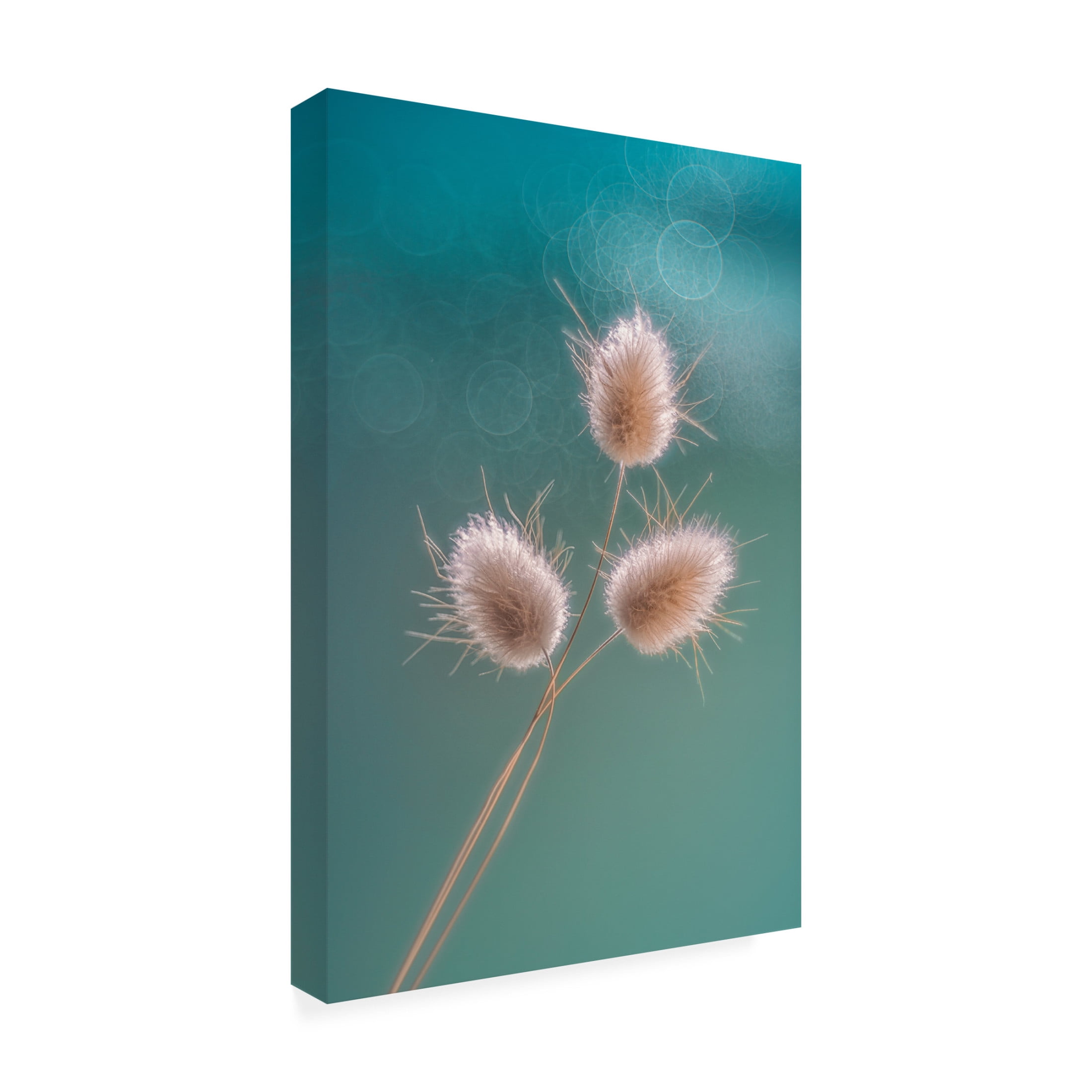 Trademark Fine Art Lydia Jacobs Ribbit Tails Canvas Wall Art