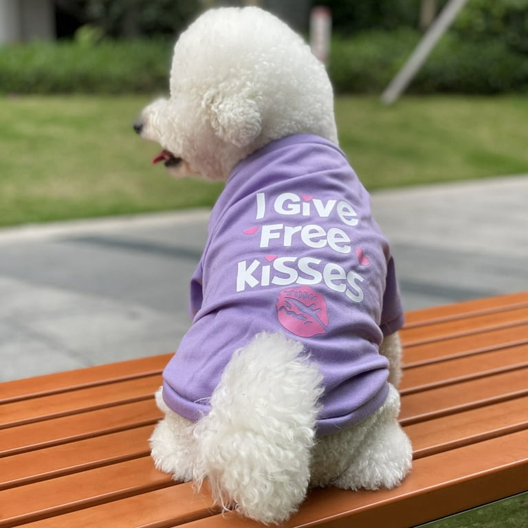 Big dog sweatshirts best sale