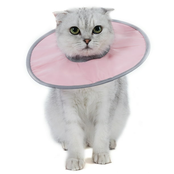 Walmart cat discount cone collar