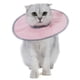 thumbnail image 1 of Collar de cono para gatos Deja de lamer Collar de recuperación de cuello con nervaduras ajustables Tomshoo Collar, 1 of 7