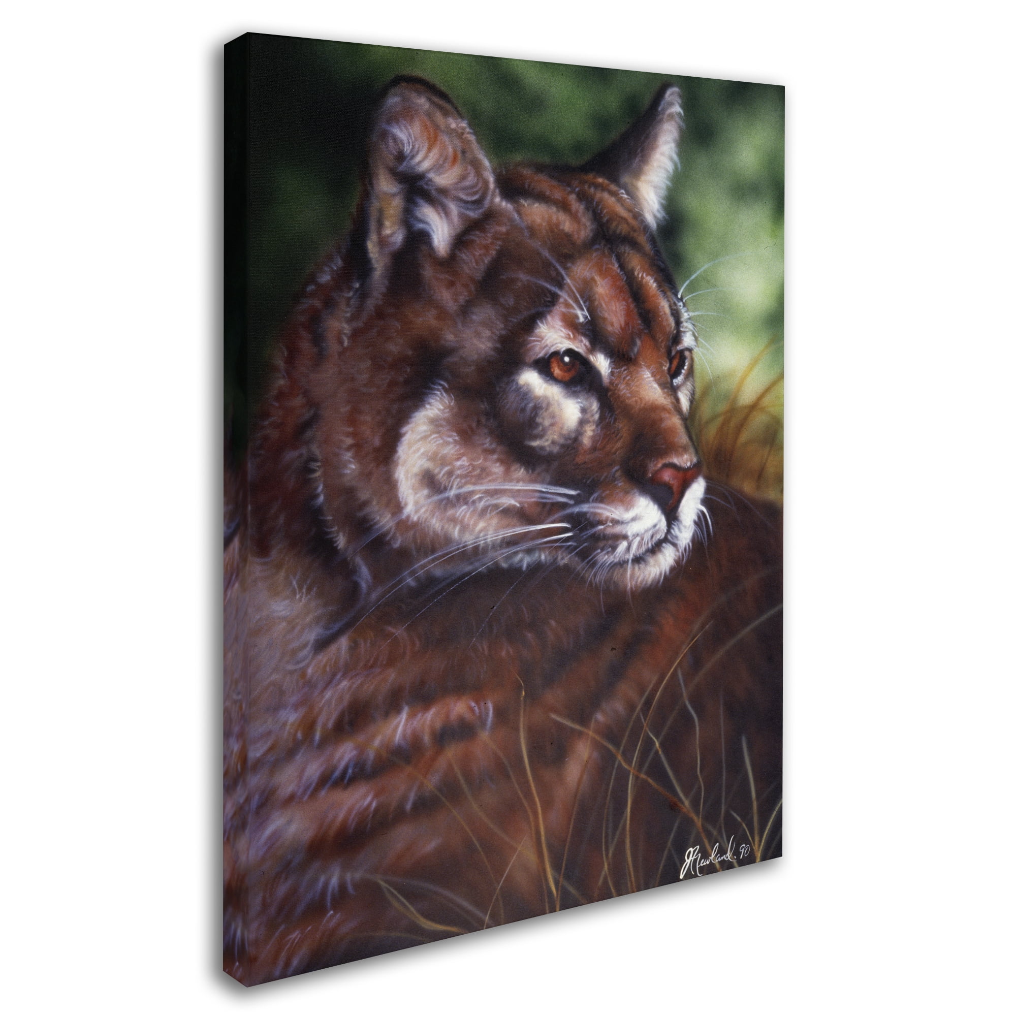 Trademark Fine Art 'Watchful Eyes II' Canvas Art by Jenny Newland