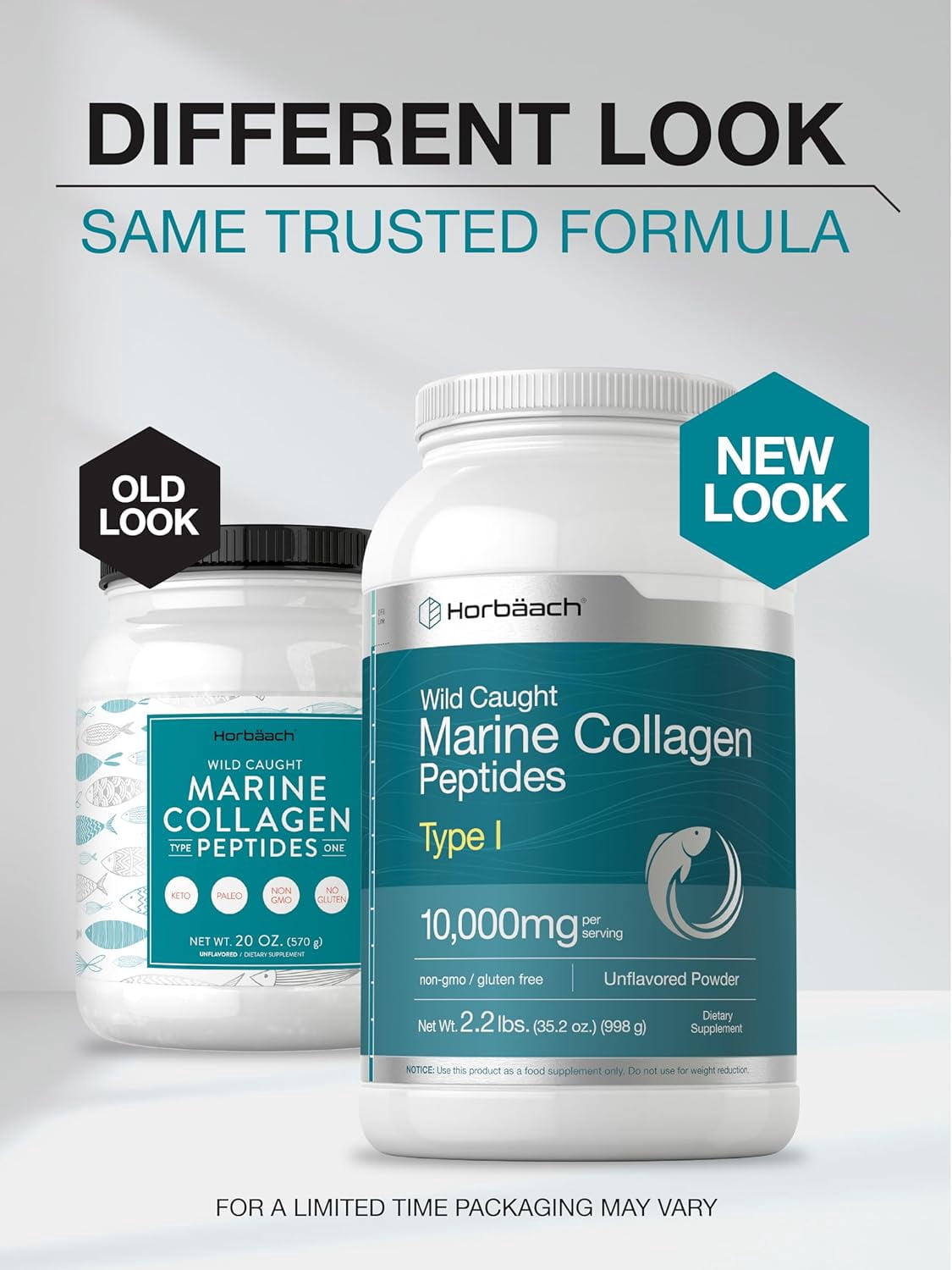 Marine Collagen Powder 2.2 lbs | Hydrolyzed Collagen Peptides | Unflavored | by Horbaach