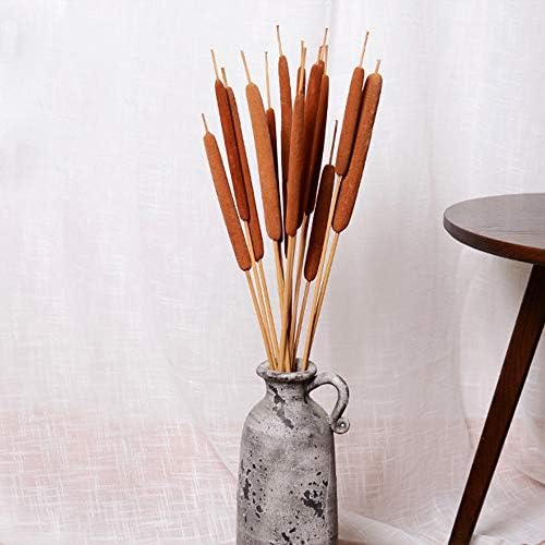 40 Pcs Dried Natural Cattails Jumbo Dried Flowers for Floral Arrangement Wedding Home Decoration$$Home Decor, Kitchen, & Other