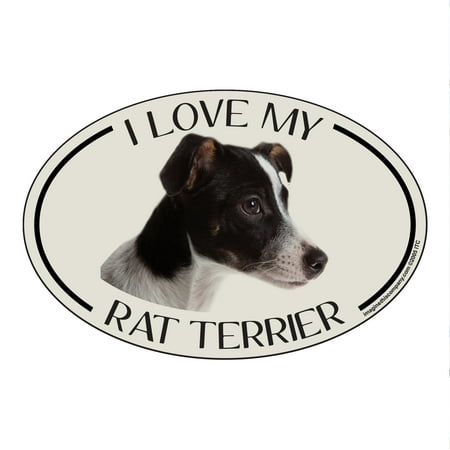 

I Love my Rat Terrier Breed Oval Magnet